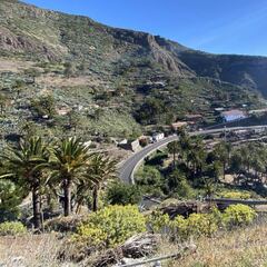 Una fiesta familiar genera el mayor rebrote de Canarias