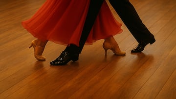 From wildlife to the ballroom: How Steve Irwin’s family is still inspiring millions