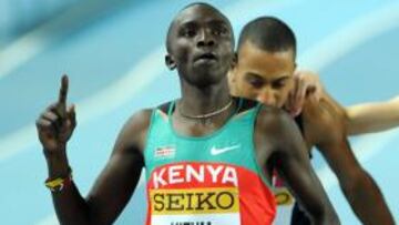 Los 'jóvenes leones' son africanos y ochocentistas