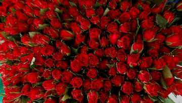 Giving roses possibly dates back to ancient societies, where roses were associated with Greek and Roman goddess of love.