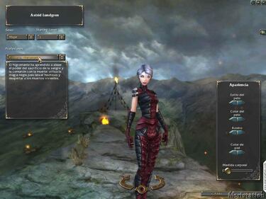 Guild Wars, Impresiones