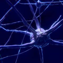 Importante avance en la lucha contra el alzhéimer