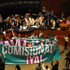 ¿Qué está pasando con el INAI y quién es Ricardo Salgado Perrilliat?