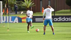 Bogotá recibe a la Selección antes de su viaje a Ecuador