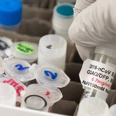 Vacuna coronavirus: ¿cómo van las pruebas clinicas en USA?