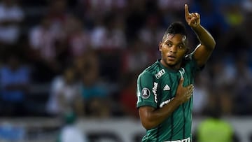 El delantero colombiano Miguel &Aacute;ngel Borja celebrando su gol con Palmeiras en el triunfo sobre Junior por Copa Libertadores