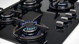 Adiós a cocinar: Uber Eats Portugal revela el dato de un usuario que hizo 1.900 pedidos en un año y gastó 315€ de media al día