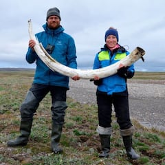Descubren el ADN más antiguo jamás registrado en el colmillo de un mamut