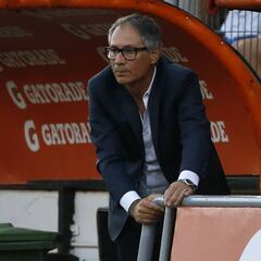 Holan se incomoda con los microciclos de La Roja