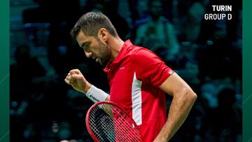 Cilic celebra su triunfo sobre De MI&ntilde;aur en la Copa Davis.