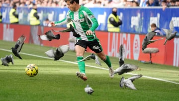Riquelme, rodeado de palomas.