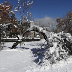 Heladas y nevadas en la Región Metropolitana: ¿qué días de esta semana podría nevar en Santiago?