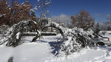 Heladas y nevadas en la Región Metropolitana: ¿qué días de esta semana podría nevar en Santiago?