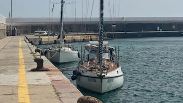 Un grupo de orcas ataca un velero en el Estrecho