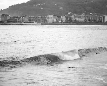 Entre La Concha y Ondarreta (donde sale una buena izquierda entre 1,5 y 2,5 metros) hay otra ola a la que llaman el Pico del Loro. Es muy complicada porque solamente se puede surfear en una determinada marea (durante 30-60 minutos).