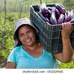 Lo que debes saber del Bono Mujer Trabajadora: cómo se postula, cuándo se paga y requisitos