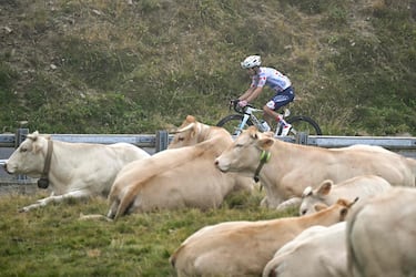 El ciclista francés Lenny Martínez, con el maillot a lunares que le acredita como mejor escalador, pedalea en solitario tratando de alcanzar primero el paso del Tourmalet.