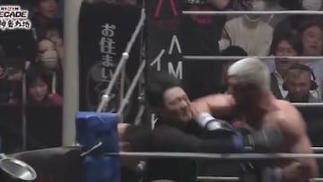 Cuando un árbitro se sube a un ring de MMA su mayor miedo es lo que sucedió en esta pelea.