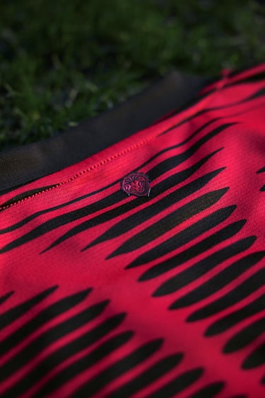 En la parte trasera, justo encima del dorsal blanco, se puede ver una versión reducida y distinguible del león oculto en el diseño.