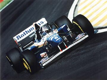 Damon Hill, hijo del dos veces campeón de Fórmula 1 Graham Hill, consiguió ganar el título por delante de su compañero de equipo Jacques Villeneuve (en su primer año en la Fórmula 1). En 1996, los Williams eran claramente los más rápidos y ganaron el campeonato de constructores con 175 puntos por los 70 del Ferrari de Michael Schumacher y Eddie Irvine.