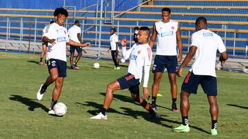 Colombia, sin bajas por covid-19 para enfrentar a Argentina