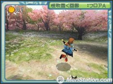 Riz Zoawd, Impresiones