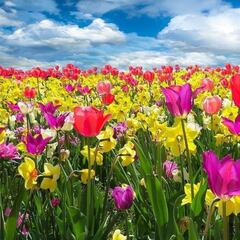 ¿Cuándo inicia la primavera en México?: fechas clave en 2024