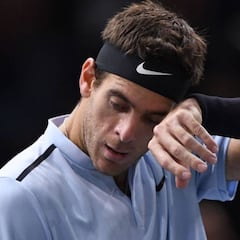 Del Potro cae y facilita el pase de Carreño al Masters