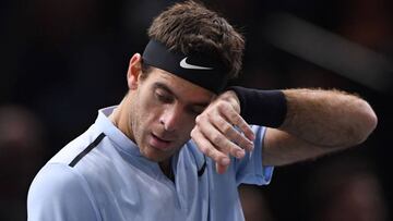 Del Potro cae y facilita el pase de Carreño al Masters