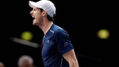Murray sweeps past Pouille and into Paris quarter-finals