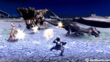 Monster Hunter Tri, Impresiones