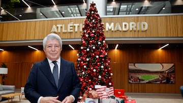 Enrique Cerezo posa en el estadio Metropolitano.