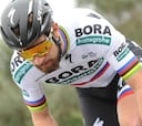 Sagan será el líder del Bora en el Tour Down Under 2019