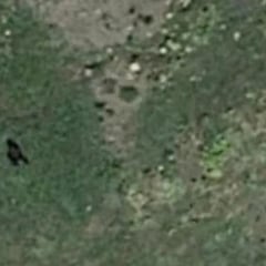 Google Earth capta un posible ‘Bigfoot’ de 2,5 metros