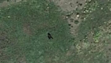 Imagen del supuesto Bigfoot captado por Google Maps. / GOOGLE MAPS