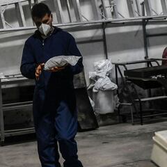 Curva del coronavirus en Colombia, hoy 21 de junio: ¿Cuántos casos y muertes hay?