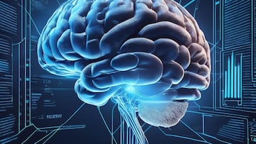 Cerebro
REMITIDA / HANDOUT por UPF
Fotografía remitida a medios de comunicación exclusivamente para ilustrar la noticia a la que hace referencia la imagen, y citando la procedencia de la imagen en la firma
23/9/2024
