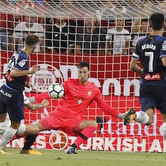 Baptistao, un galgo ganador