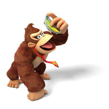 Ilustraci¨®n - Donkey Kong Country: Tropical Freeze (WiiU)
