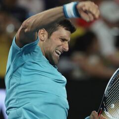 No hubo susto: Djokovic tumba a un irregular Verdasco