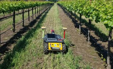 El prototipo de RAPID, un robot aut&oacute;nomo que va analizando el sembrado parcela a parcela