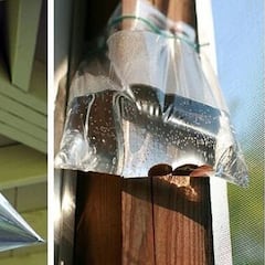 ¿Ola de calor? Los mejores trucos para ahuyentar a los mosquitos en el exterior