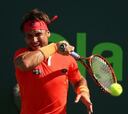 Ferrer se topa en cuartos con
un Novak Djokovic lleno de dudas