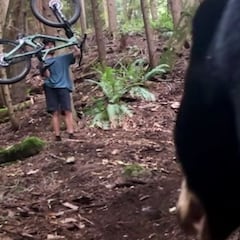 Un ciclista se enfrenta a un oso ante su propia cámara