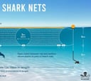 Las redes antitiburones funcionan por el miedo que generan