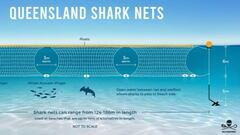 Las redes antitiburones funcionan por el miedo que generan
