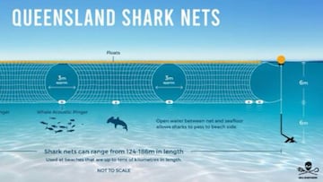 Así son las redes antitiburones en Queensland, Australia.