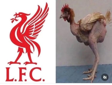 Los mejores memes del fin de semana