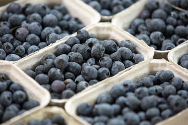 Esta es la mejor fruta para depurar los ri?ones de forma natural consumida por nativos americanos