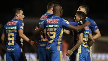 Tigres, Apertura 2019